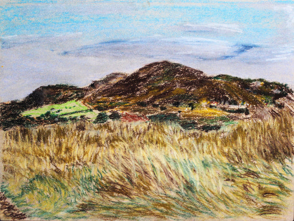 Bull Island from the Beach, Ireland